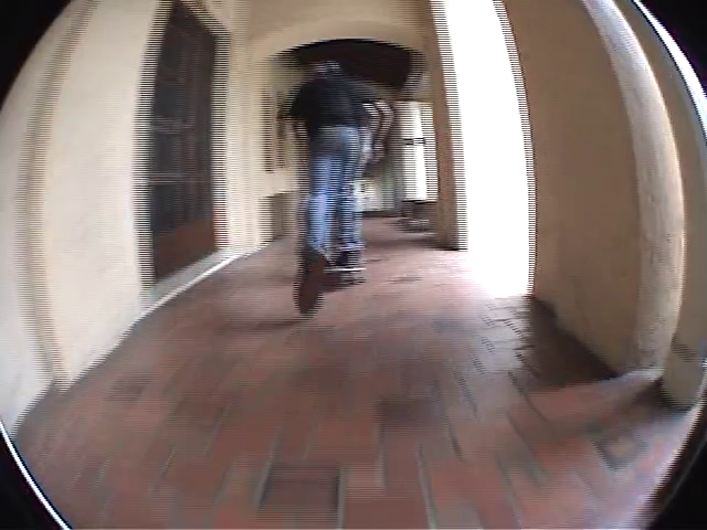 NOLLIE KICKFLIP by chaffin